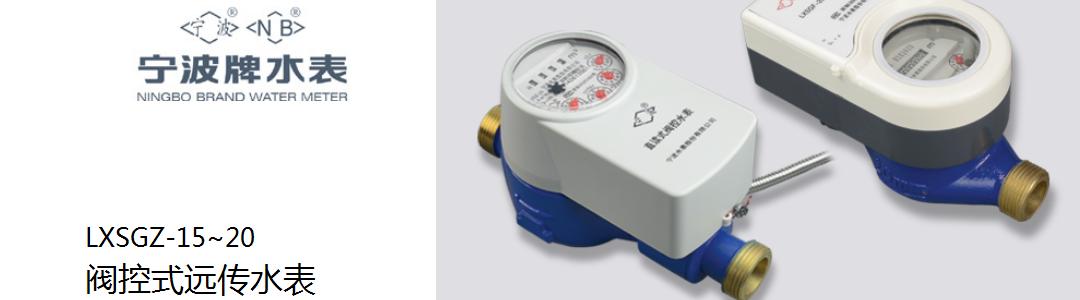 寧波牌LXSGZ-15~20閥控式遠傳水表